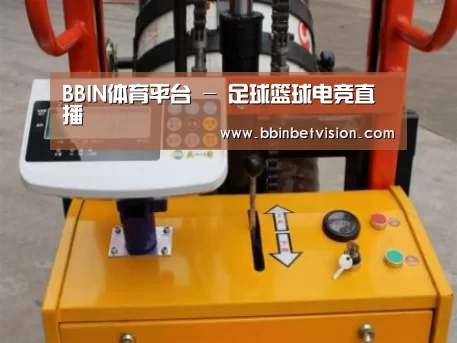 BBIN电子案例展示三