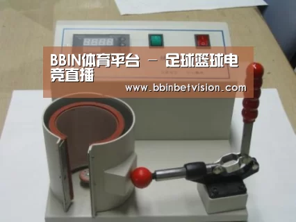 BBIN电子案例展示六