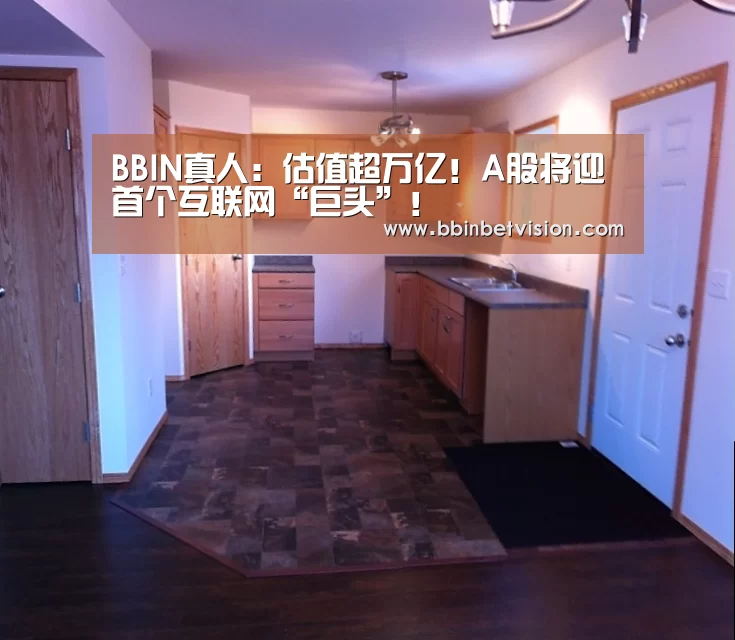 BBIN真人:估值超万亿!A股将迎首个互联网“巨头”!(图1) BBIN篮球